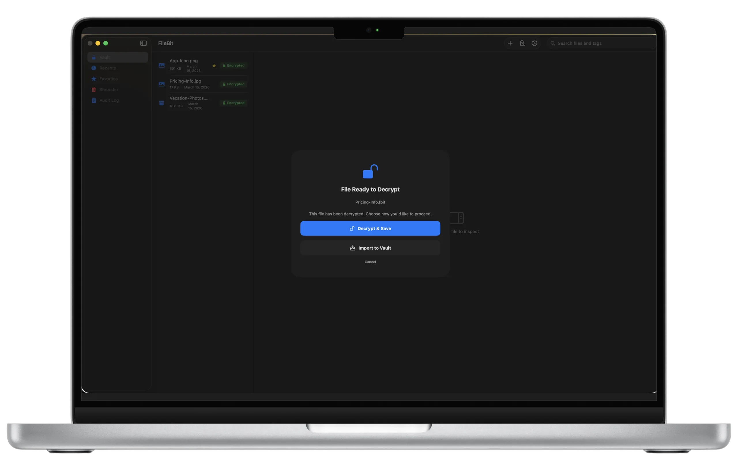 FileBit decrypt and export