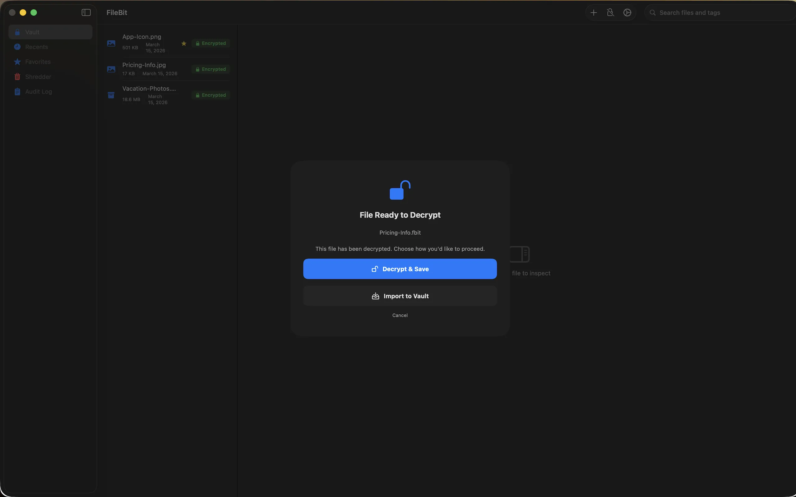 FileBit decrypt and export dialog